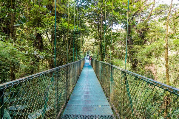 Puente Colgante Cloudforest Monteverde Costa Rica — Foto de Stock