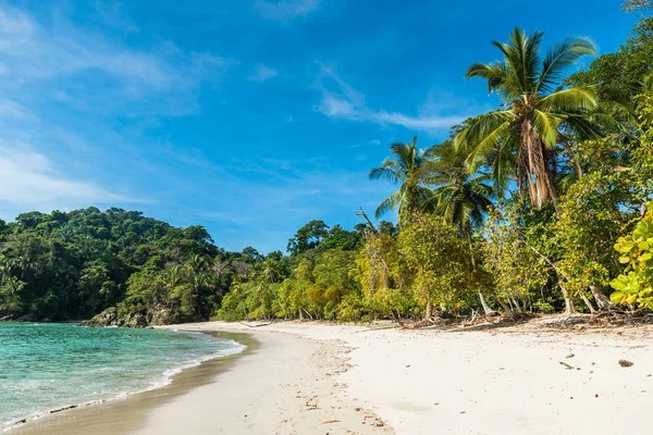 Tropikalnej Plaży Manuel Antonio National Park Costa Rica — Zdjęcie stockowe