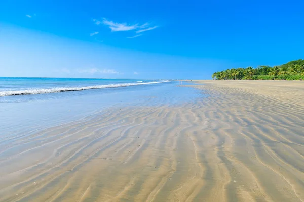 Parc National Marino Ballena Avec Plage Forêt Tropicale Punta Uvita — Photo