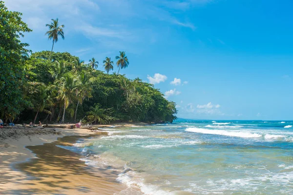 Playa Chiquita Дикому Пляжі Неподалік Від Пуерто Велья Коста Ріки — стокове фото