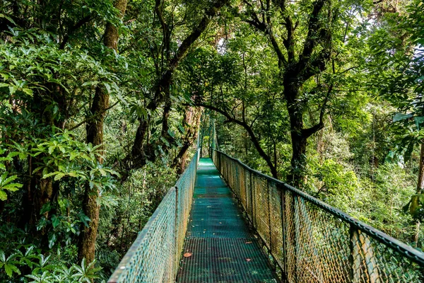 Wiszący Most Cloudforest Monteverde Costa Rica — Zdjęcie stockowe
