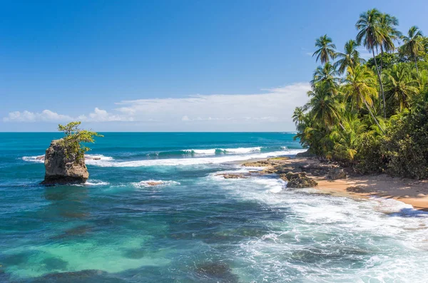 Wild Caribbean Beach Manzanillo Puerto Viejo Costa Rica — Stock Photo, Image