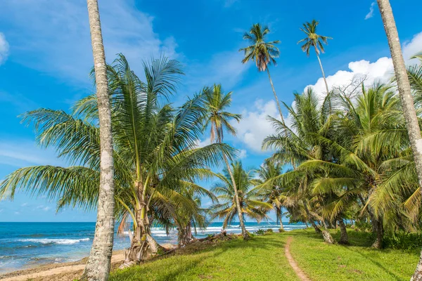 Playa Cocles Tropická Pláž Blízkosti Puerto Viejo Kostarika — Stock fotografie