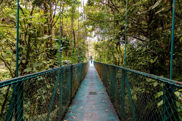 Ponte Sospeso Cloudforest Costa Rica — Foto Stock