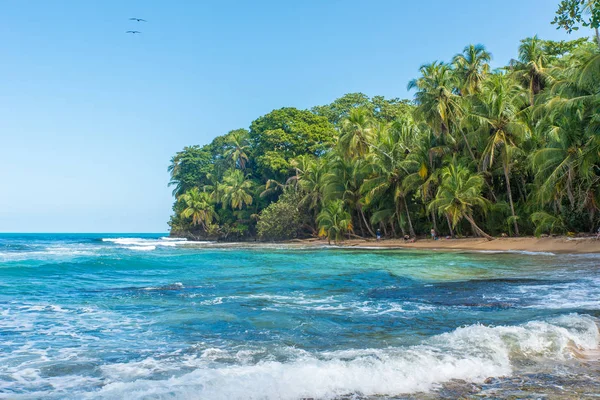 Paradise Wild Beach Manzanillo Park Costa Rica — Stock Photo, Image