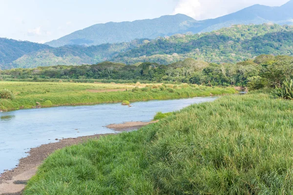 Río Costa Rica Selva Tropical — Foto de Stock