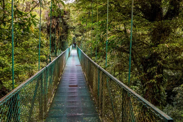 Puente Colgante Cloudforest Monteverde Costa Rica — Foto de Stock