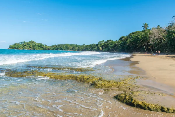 Plaży Punta Uva Costa Rica Dzikie Wybrzeże Karaibów — Zdjęcie stockowe