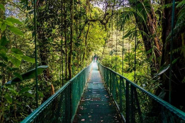 Puente Colgante Cloudforest Monteverde Costa Rica — Foto de Stock