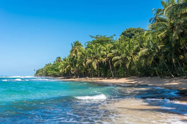 Paraíso Playa Salvaje Del Parque Manzanillo Costa Rica —  Fotos de Stock