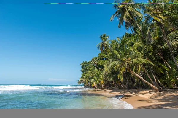 Paradise Wild Beach Manzanillo Park Costa Rica — Stock Photo, Image