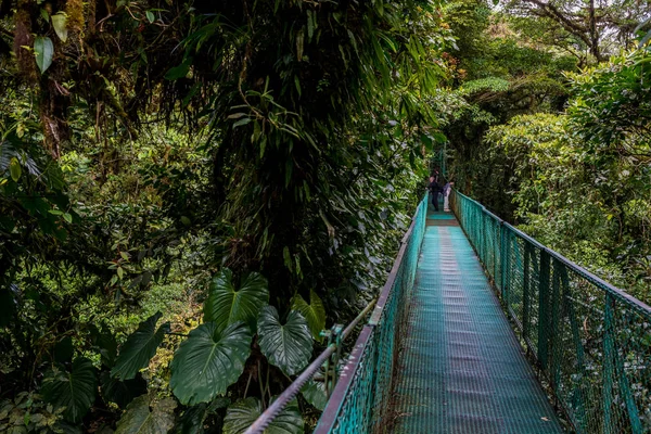 Ponte Pendurada Cloudforest Costa Rica — Fotografia de Stock