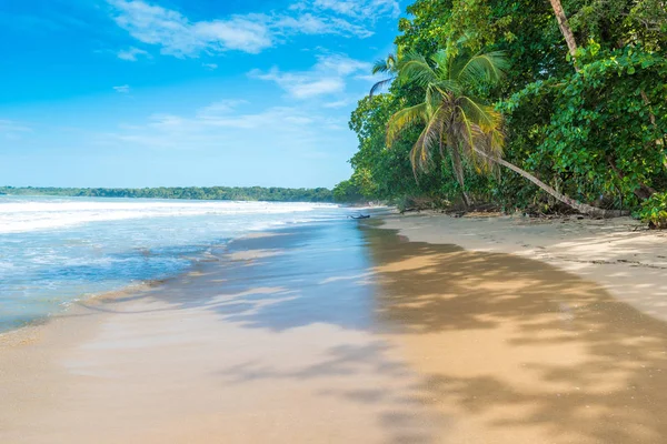 Cahuita Parque Nacional Con Playas Paradisíacas Selva Tropical Costa Rica —  Fotos de Stock