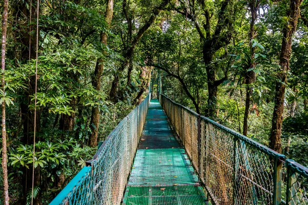 Wiszący Most Cloudforest Kostaryka — Zdjęcie stockowe