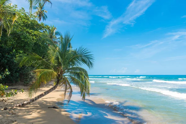 Playa Chiquita Dzikiej Plaży Niedaleko Puerto Viejo Costa Rica — Zdjęcie stockowe