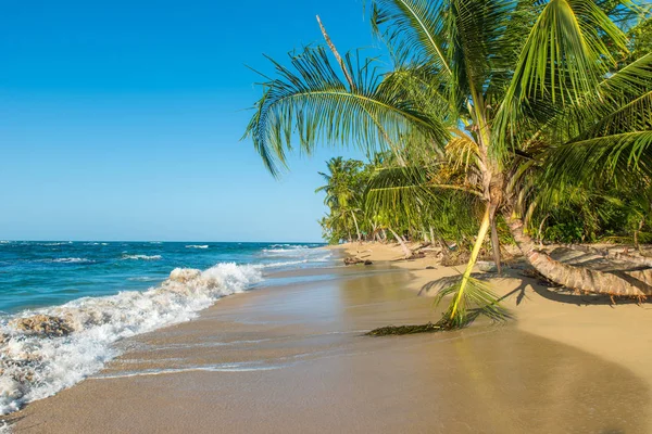 Punta Uva Beach Costa Rica Wild Caribbean Coast — Stock Photo, Image
