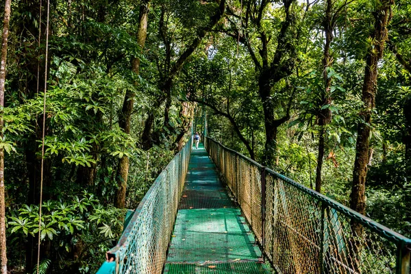 Ponte Pendurada Alajuela Costa Rica — Fotografia de Stock
