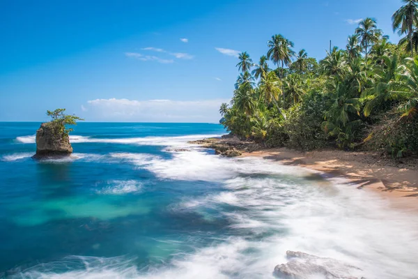 Vahşi Karayipler Beach Manzanillo Puerto Viejo Kosta Rika — Stok fotoğraf