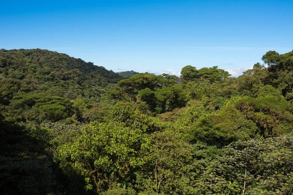 Vista Cloudforest Monteverde Costa Rica — Foto de Stock