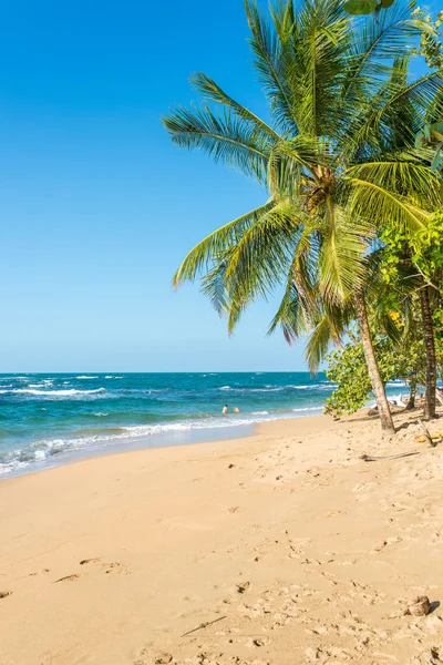 Pláž Punta Uva Kostarice Divoké Karibské Pobřeží — Stock fotografie