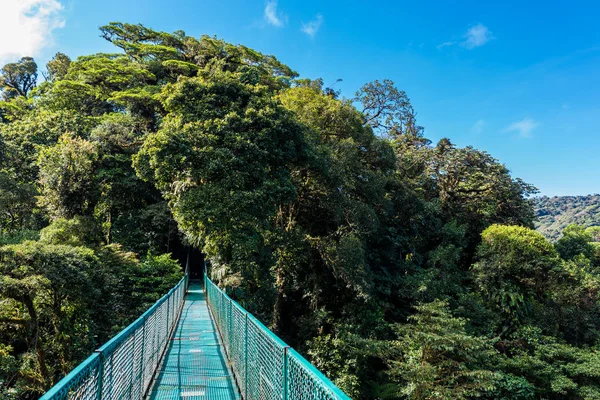 Κρεμαστή Γέφυρα Στο Cloudforest Monteverde Κόστα Ρίκα — Φωτογραφία Αρχείου