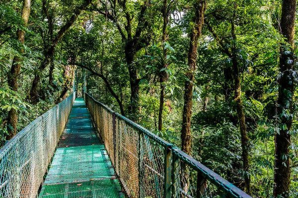 Wiszący Most Cloudforest Monteverde Costa Rica — Zdjęcie stockowe