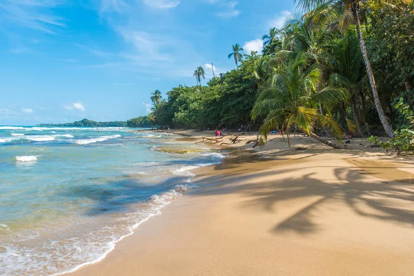 Πλάγια Chiquita Άγρια Παραλία Κοντά Στο Puerto Viejo Κόστα Ρίκα — Φωτογραφία Αρχείου