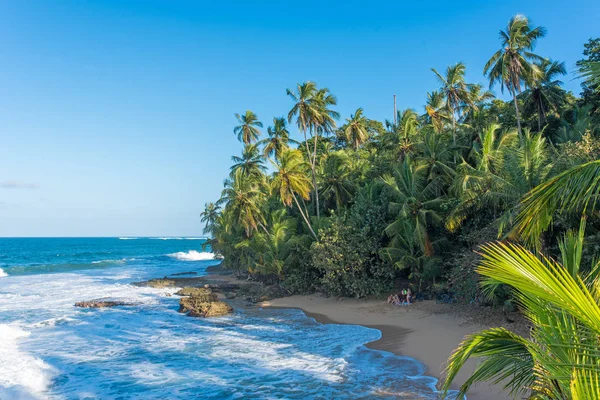 Playa Caribeña Salvaje Manzanillo Puerto Viejo Costa Rica —  Fotos de Stock