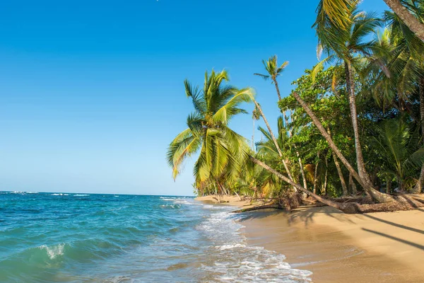Pláž Punta Uva Kostarice Divoké Karibské Pobřeží — Stock fotografie
