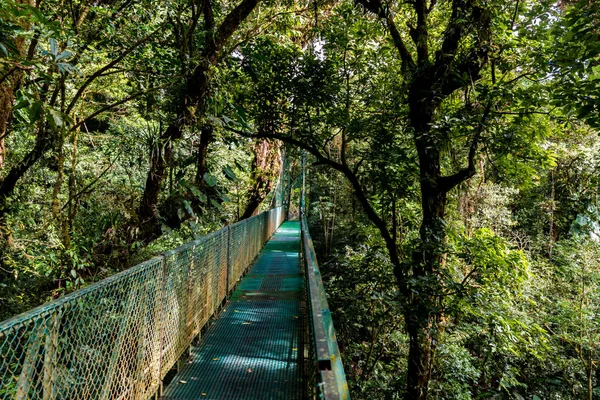 Puente Colgante Bosque Nuboso Costa Rica — Foto de Stock