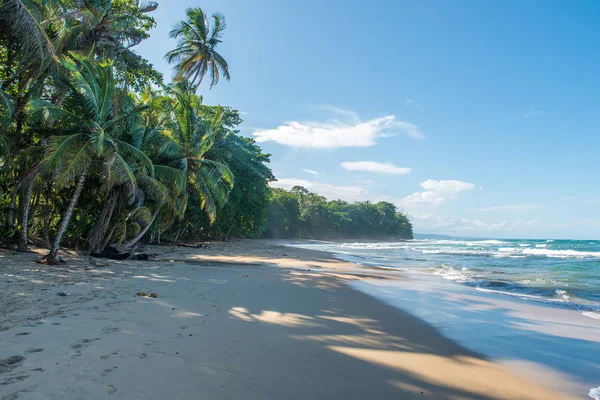 Punta Uva Beach Costa Rica Wild Caribbean Coast — Stock Photo, Image