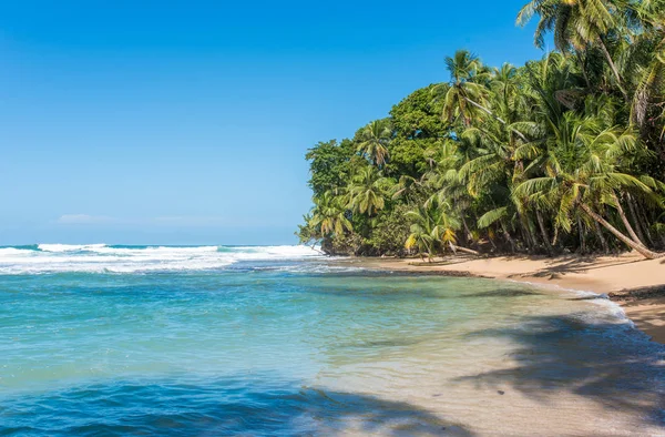 Dzikiej Plaży Paradise Park Manzanillo Kostaryce — Zdjęcie stockowe