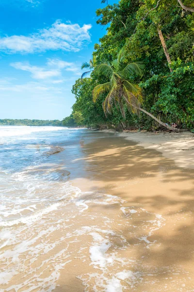Cahuita Parque Nacional Con Playas Paradisíacas Selva Tropical Costa Rica —  Fotos de Stock
