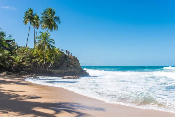 Vad Karibi Manzanillo Strand Puerto Viejo Costa Rica — Stock Fotó