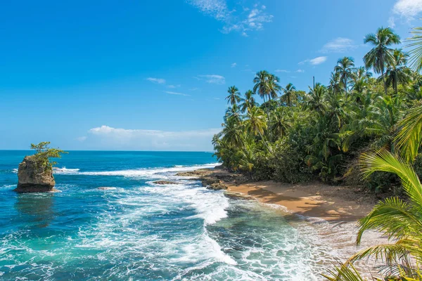 Vahşi Karayipler Beach Manzanillo Puerto Viejo Kosta Rika — Stok fotoğraf