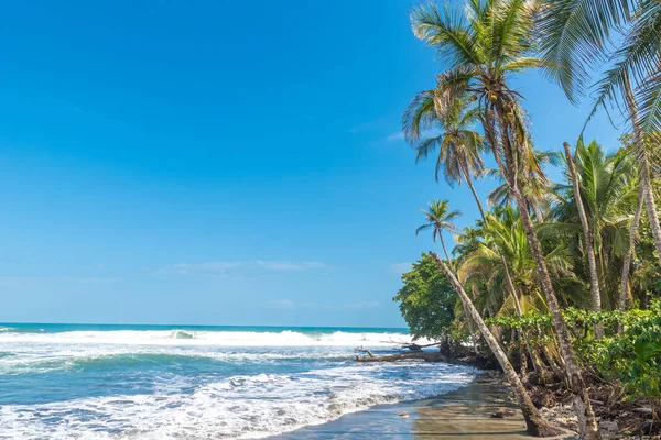 Playa Negra Černou Pláž Cahuita Limon Kostarika Tropické Pláže Paradise — Stock fotografie