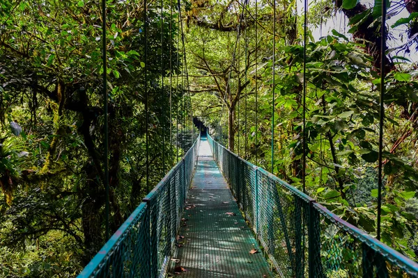 Visutý Most Cloudforest Kostarika — Stock fotografie