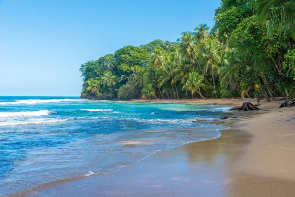 Дикий Пляж Paradise Парке Мансанильо Коста Рике — стоковое фото