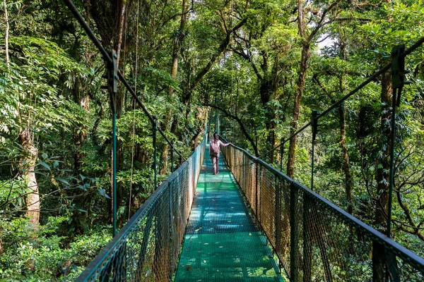 Jovem Ponte Suspensa Floresta Nublada Monteverde Costa Rica — Fotografia de Stock