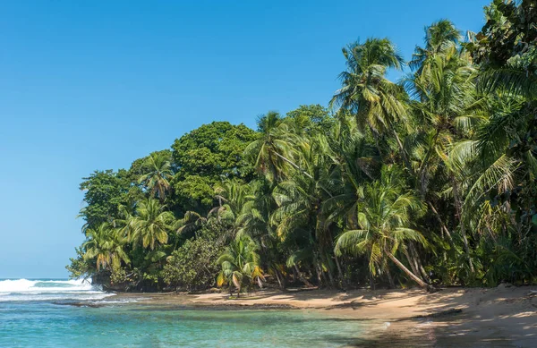 Рай Дикому Пляжі Мансанільо Парк Коста Ріці — стокове фото