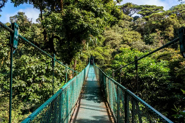 Puente Colgante Cloudforest Monteverde Costa Rica — Foto de Stock