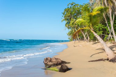 Kosta Rika Punta Uva Beach'te vahşi Karayip kıyılarında ile.