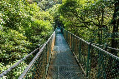 Hanging Bridge in Cloudforest - Costa Rica clipart