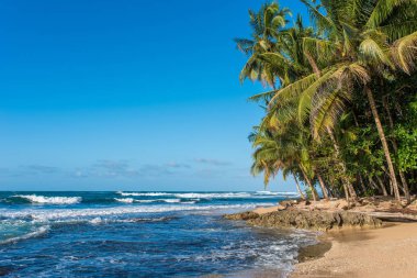 Vahşi Cennet plaj Manzanillo Park Kosta Rika