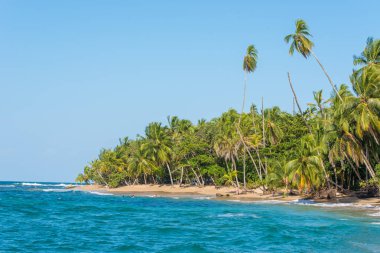 Kosta Rika Punta Uva Beach'te vahşi Karayip kıyılarında ile.