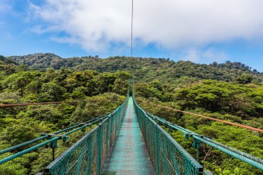 Cloudforest - Kosta Rika Bridge'de asılı