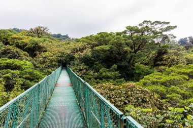 Cloudforest, Monteverde, Kosta Rika Bridge'de asılı.