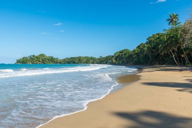 Kosta Rika Punta Uva Beach'te vahşi Karayip kıyılarında ile.