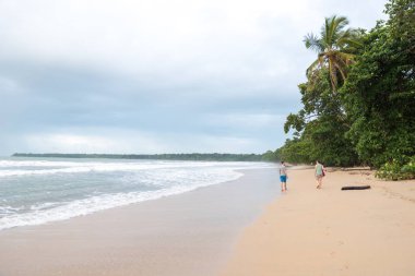 Cahuita - paradise plajları ve Kosta Rika yağmur ormanları ile milli park.