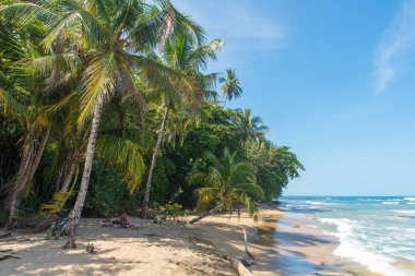 Playa Chiquita - vahşi beach yakın Puerto Viejo, Kosta Rika.
